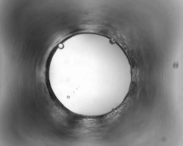 X0000103930150200809191358