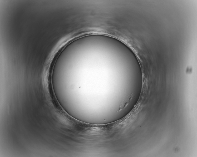 X0000103930151200809191358