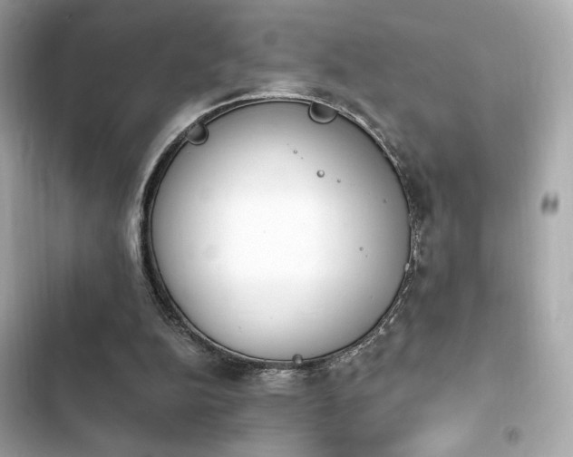 X0000103930152200809191358