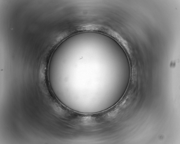 X0000103930153200809191359