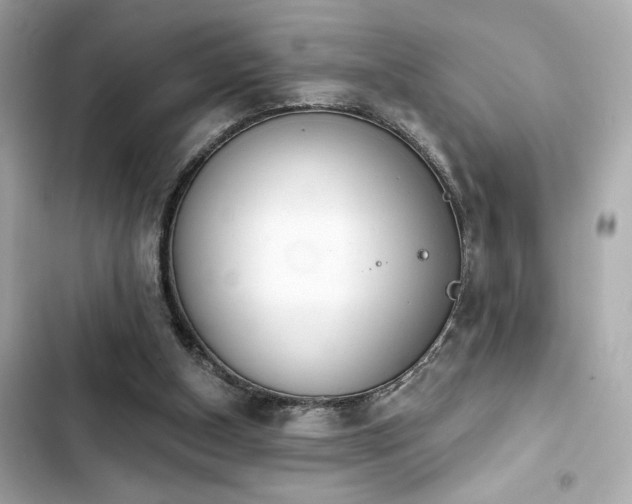 X0000103930154200809191359