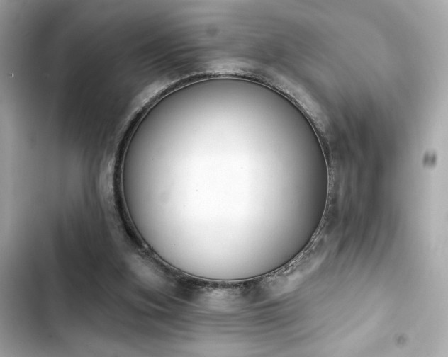 X0000103930155200809191359