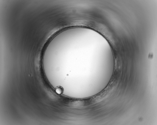 X0000103930156200809191359