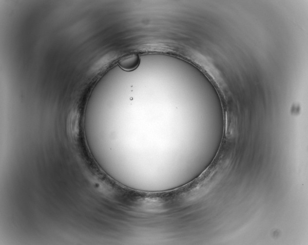 X0000103930157200809191359