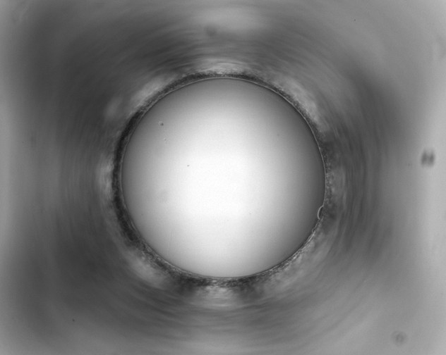 X0000103930159200809191359