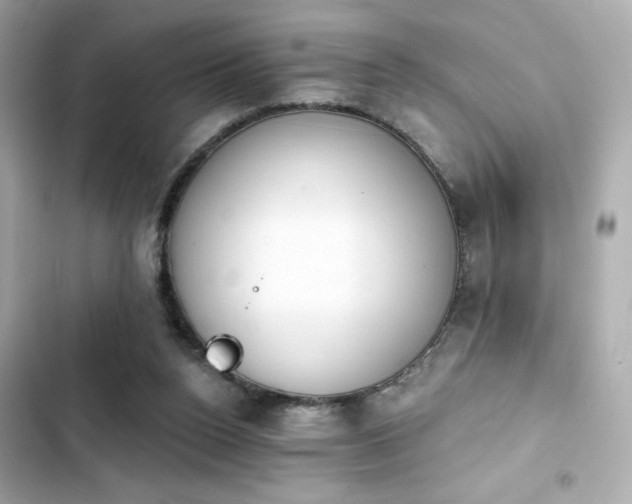 X0000103930160200809191359