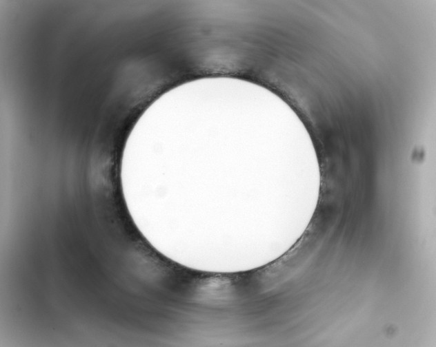 X0000103930162200809191359