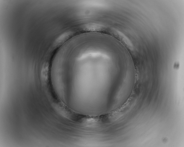 X0000103930163200809191359