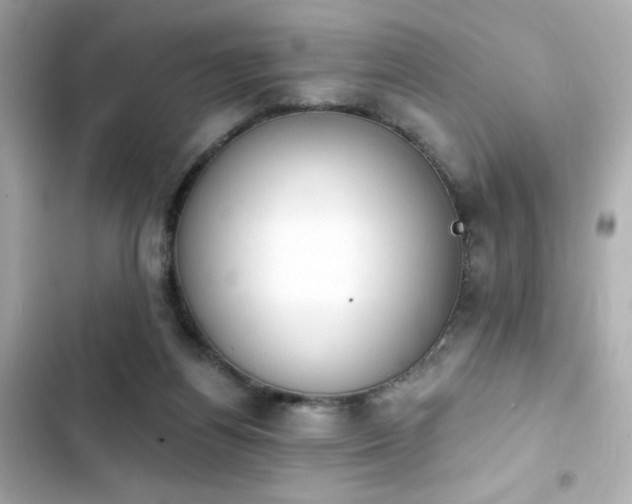 X0000103930164200809191359