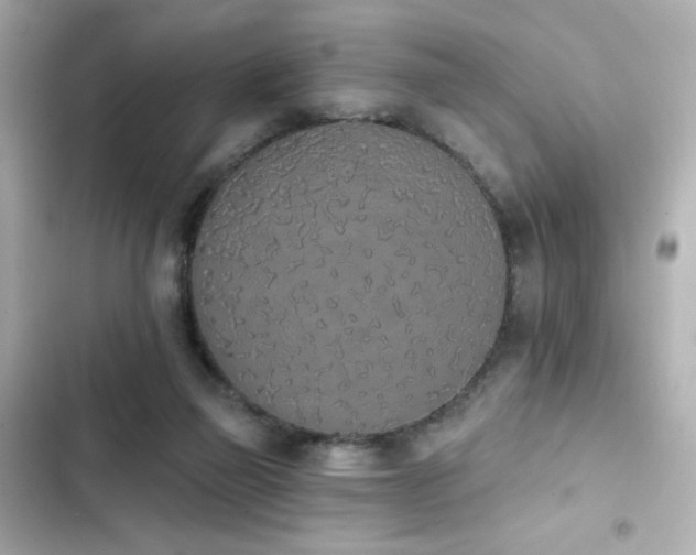 X0000103930165200809191359