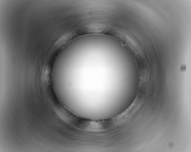 X0000103930166200809191359
