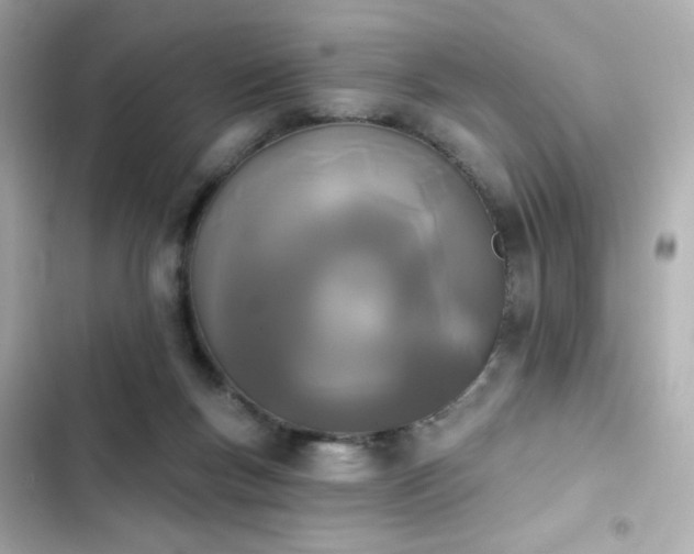 X0000103930167200809191359