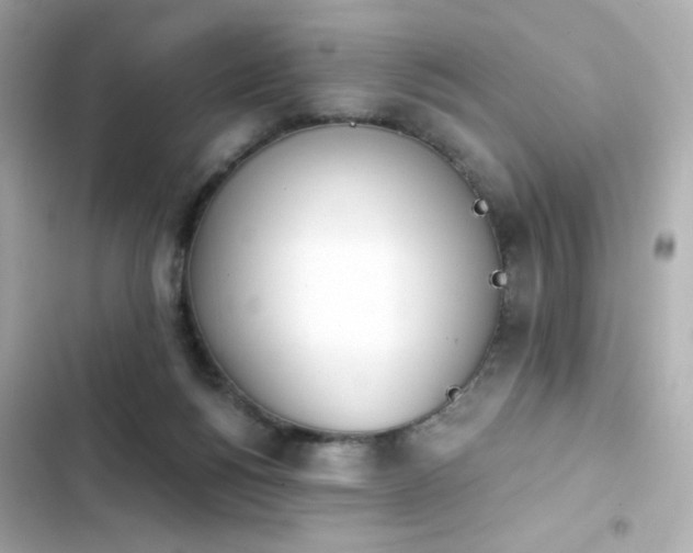 X0000103930168200809191359