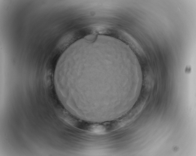 X0000103930169200809191359