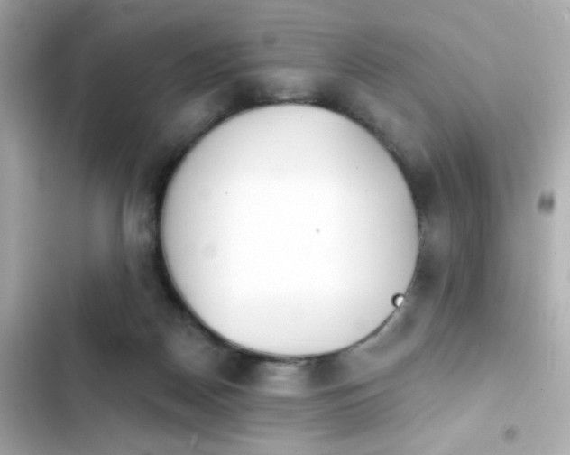 X0000103930170200809191359