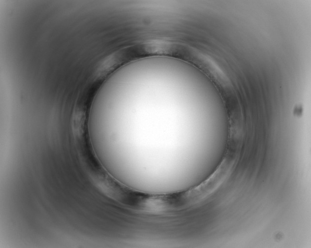X0000103930171200809191359