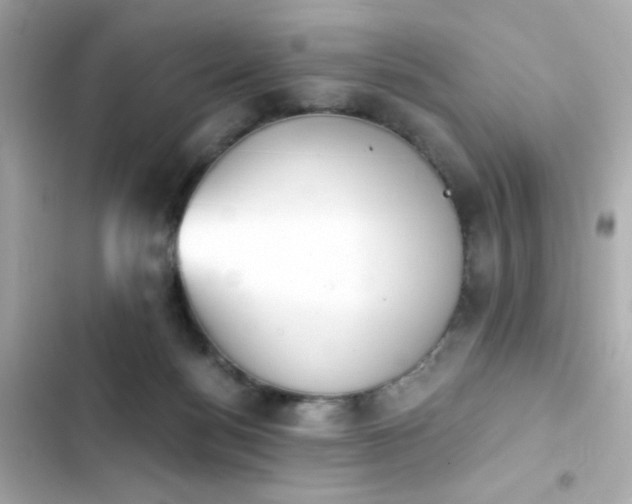 X0000103930172200809191359