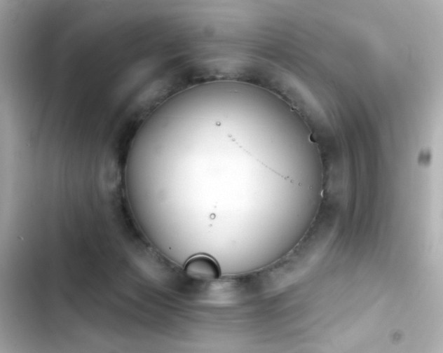 X0000103930173200809191359