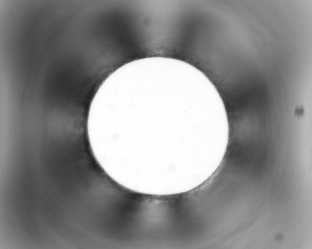 X0000103930174200809191359