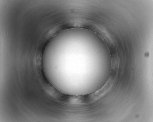 X0000103930175200809191359