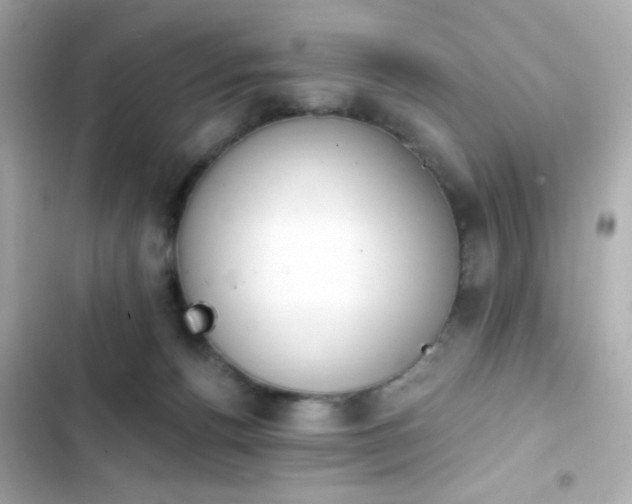 X0000103930176200809191359