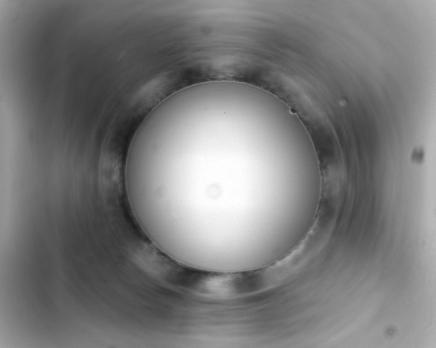 X0000103930178200809191359