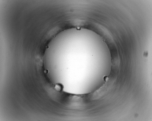 X0000103930180200809191359