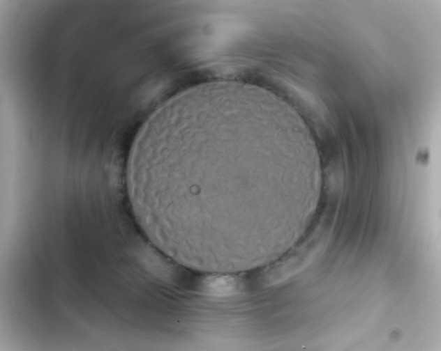 X0000103930181200809191359