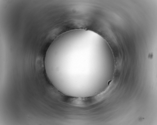 X0000103930182200809191359