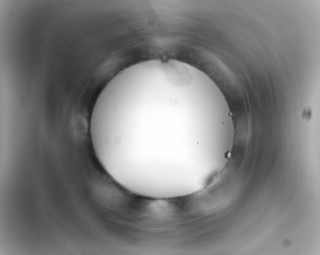 X0000103930183200809191359