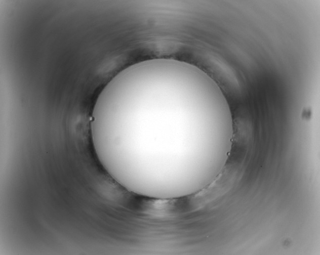 X0000103930184200809191359
