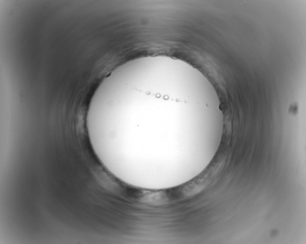 X0000103930185200809191359