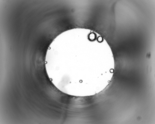 X0000103930186200809191359