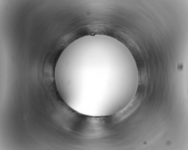 X0000103930187200809191359