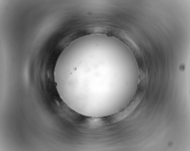 X0000103930189200809191359
