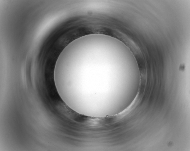 X0000103930190200809191359