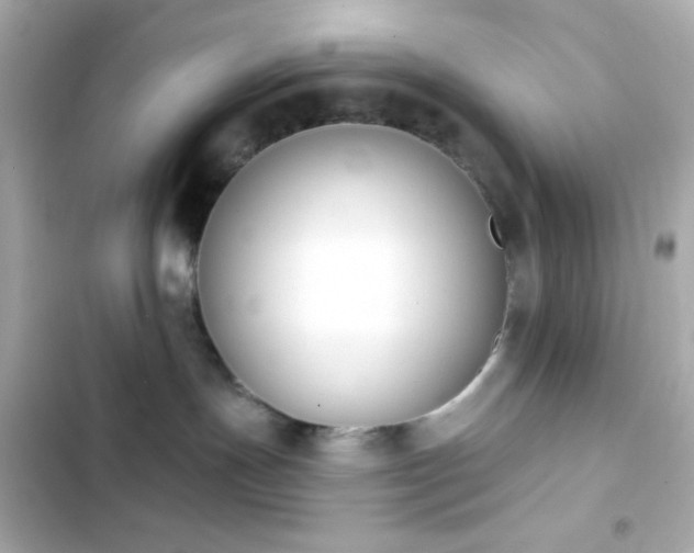 X0000103930191200809191359