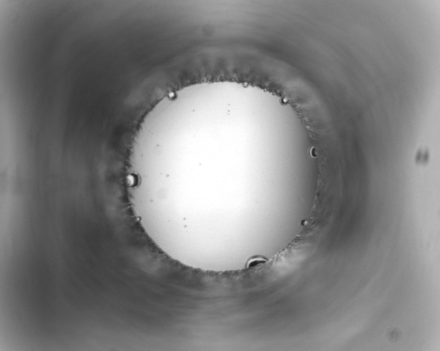X0000103930192200809191359
