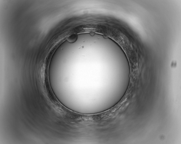 X0000103930194200809191358