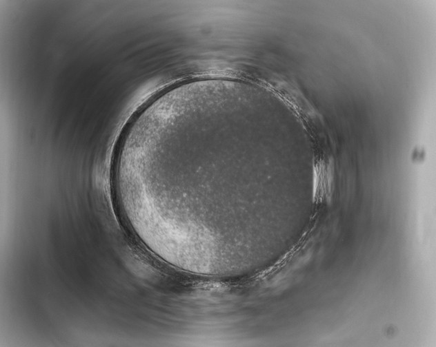 X0000103930195200809191358