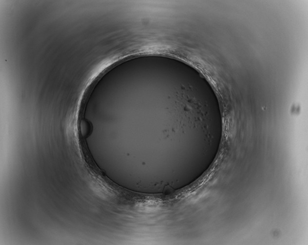 X0000103930196200809191358