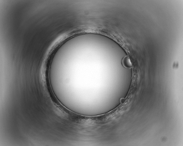 X0000103930197200809191358