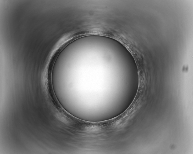 X0000103930198200809191358