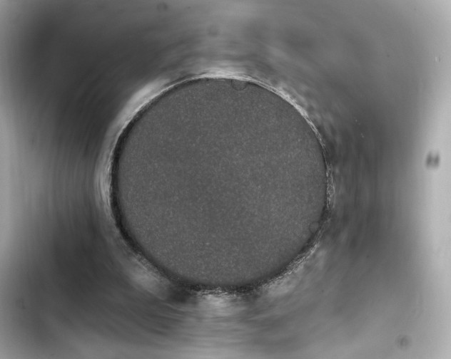 X0000103930199200809191358