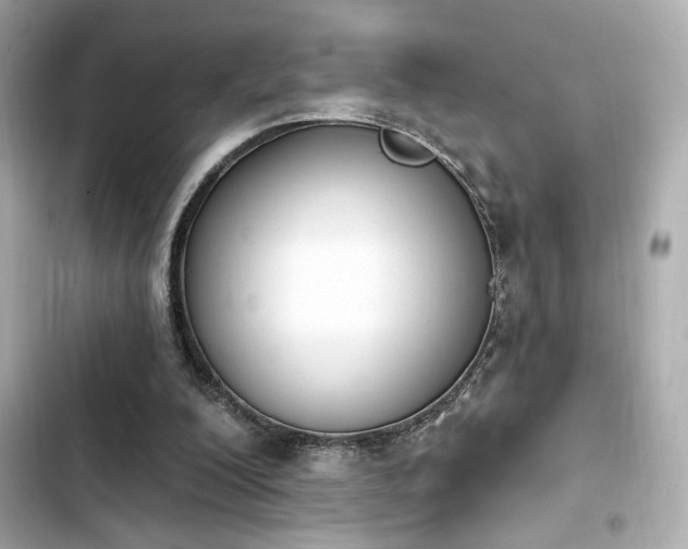 X0000103930200200809191358