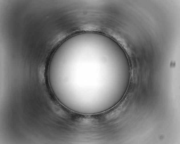 X0000103930201200809191358