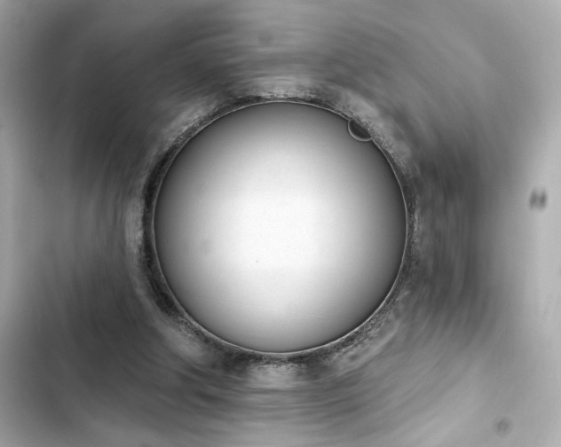 X0000103930202200809191358
