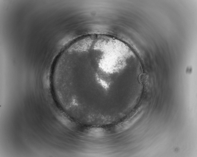X0000103930203200809191358