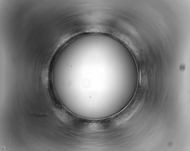 X0000103930204200809191358
