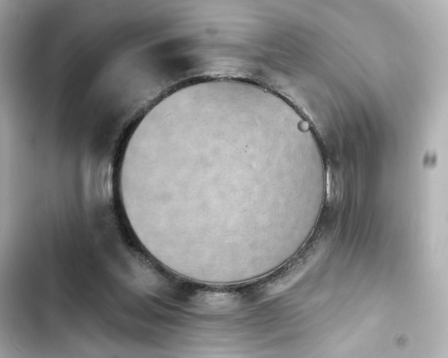 X0000103930205200809191358